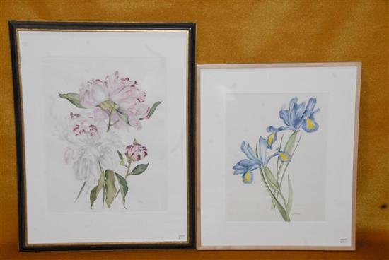 Appraisal: C S Two watercolors Peonies and Iris Each initaled and