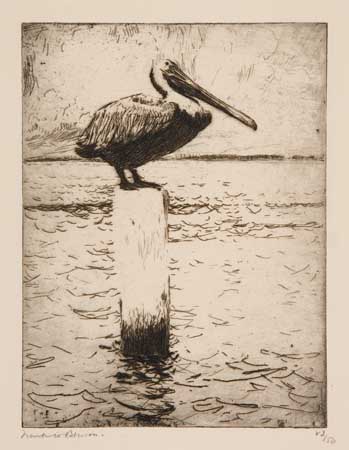 Appraisal: FRANK W BENSON Brown Pelican Etching x mm x inches