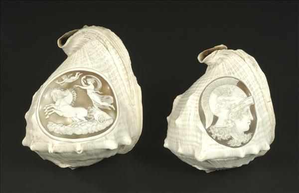 Appraisal: Two Italian cameo carved shells late th century one with