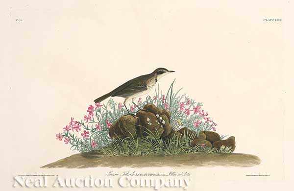 Appraisal: John James Audubon American - Prairie Titlark Plate hand-colored engraving