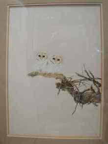 Appraisal: A watercolour study of a pair of barn owlets by