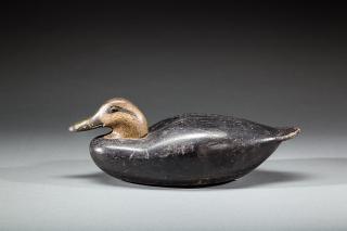 Appraisal: Black Duck Benjamin Holmes - Stratford CT c A classic