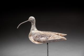 Appraisal: Curlew by Eugene Chief Cuffee CurlewEugene Chief Cuffee - attr