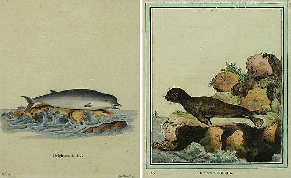 Appraisal: Property of various owners Scenes of Marine Life Engravings with