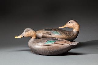 Appraisal: Two Black Ducks Martin D Collins b Bridgewater MA c