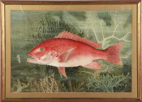 Appraisal: Samuel A Kilbourne after American - FOUR WORKS GAME FISHES