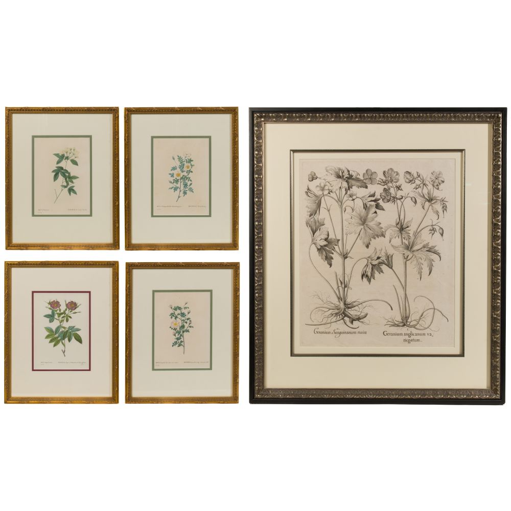 Appraisal: BESSLER AND AFTER REDOUTE BOTANICAL PRINT ASSORTMENT items including Basilius