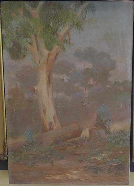 Appraisal: ARTIST UNKNOWN AUSTRALIAN SCHOOL BUSH SCENE OIL ON CANVAS