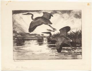 Appraisal: Frank W Benson - Blue Herons signed Frank W Benson