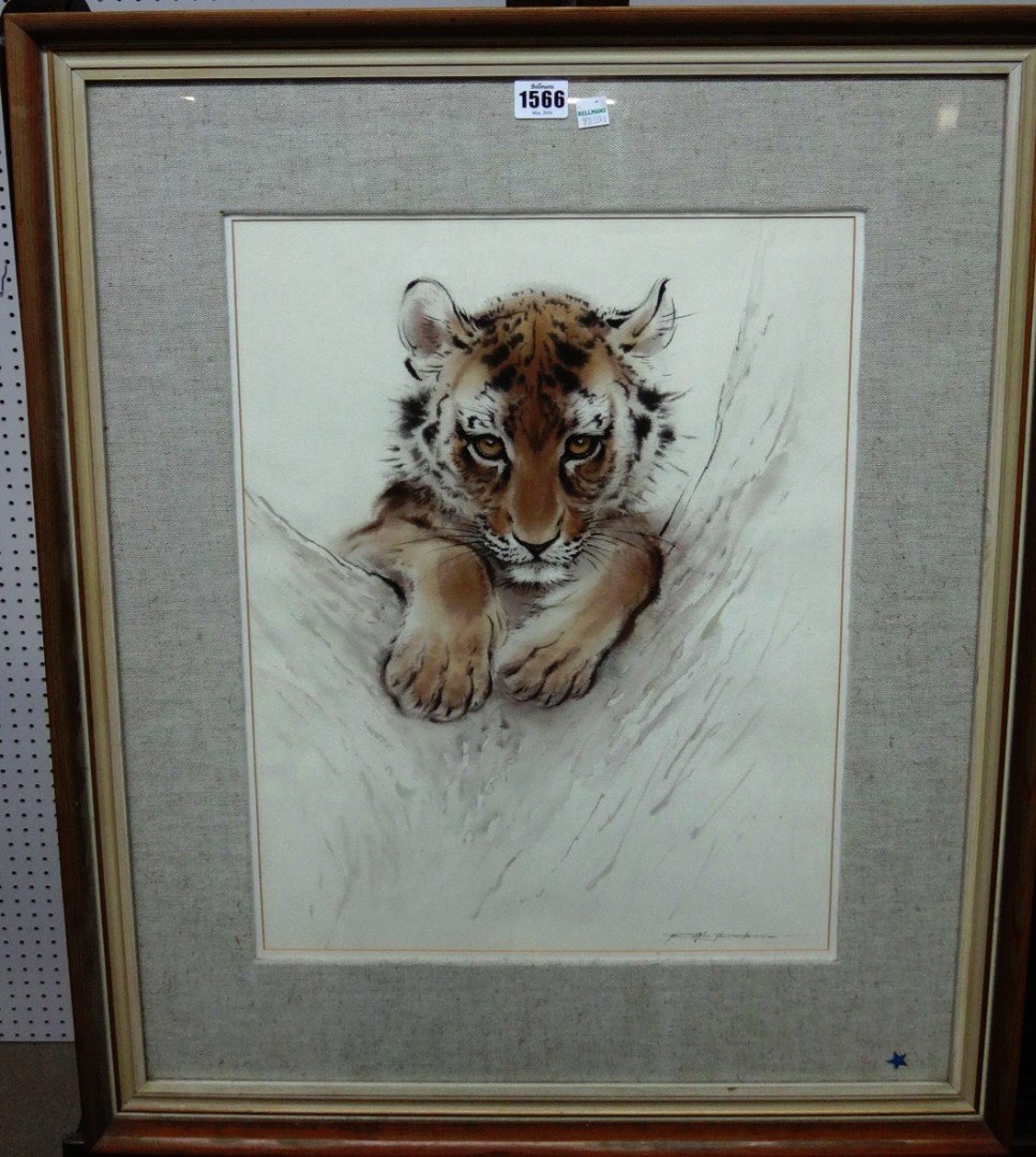 Appraisal: Ralph Thompson - Tiger cub 'The Boffer' Sudden Shyness watercolour