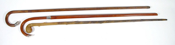 Appraisal: Three walking canes one tiger stripe with silver collar another