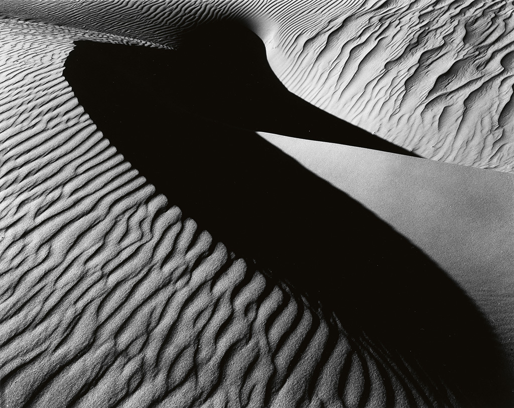 Appraisal: WESTON BRETT - Bird Dune Oceano Silver print x inches