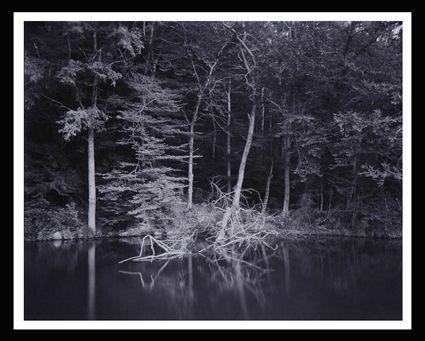 Appraisal: LINDA S CONNOR TH ST C UNTITLED-POND CONNECTICUT Photograph x