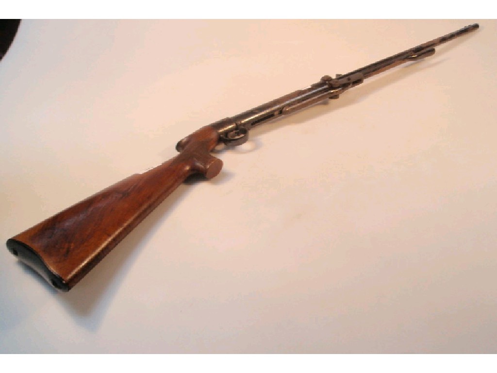 Appraisal: A vintage BSA air rifle