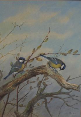 Appraisal: Philip Rickman British - Great Tits signed and dated watercolour