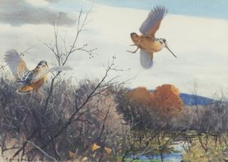 Appraisal: Aiden Lassell Ripley - Woodcock Pair signed and dated A