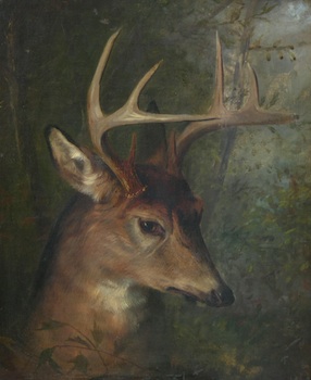 Appraisal: American School ca Late th Century Eight Pointed Stag Oil