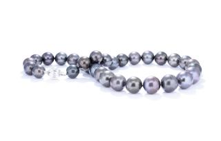 Appraisal: A TAHITIAN PEARL NECKLACE A TAHITIAN PEARL NECKLACE A graduated