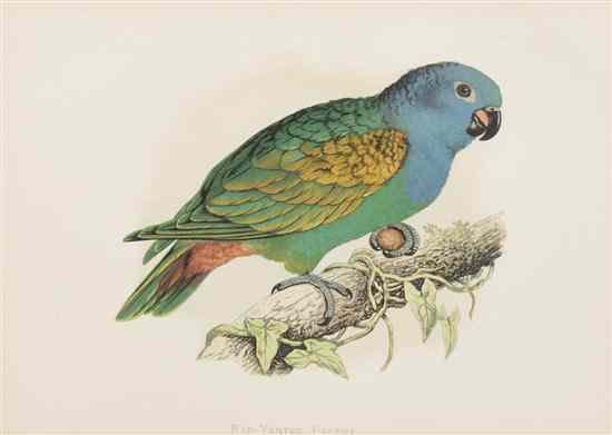 Appraisal: A group of two handcolored engravings of parrots framed Largest