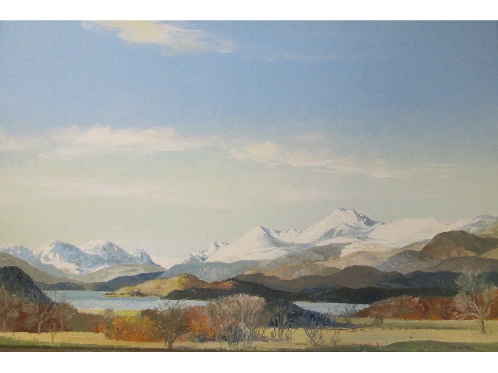 Appraisal: TOM H SHANKS Oil on board 'Ben Lomond Winter' signed