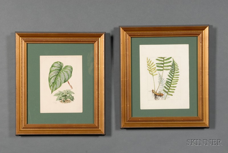 Appraisal: Group of Seven Decorative Botanical Watercolor Drawings c - signed