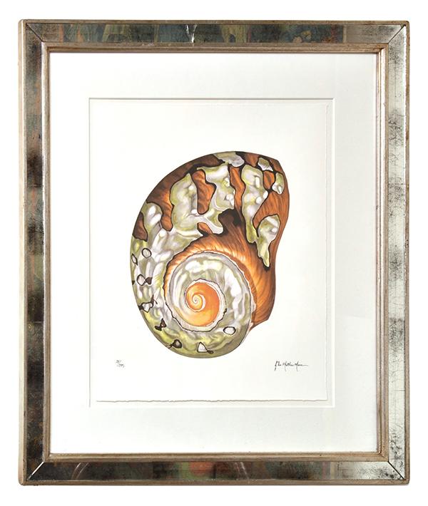 Appraisal: JOHN MATTHEW MOORE Conch Shell gicelle print within a mirrored