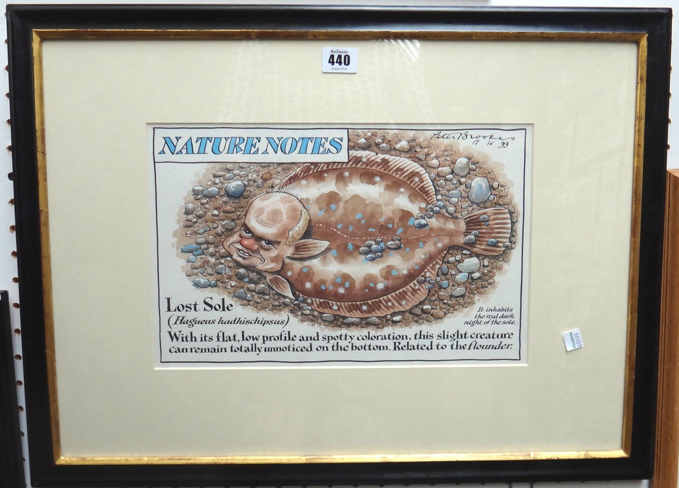 Appraisal: Peter Brookes b Nature Notes Lost Sole watercolour and ink