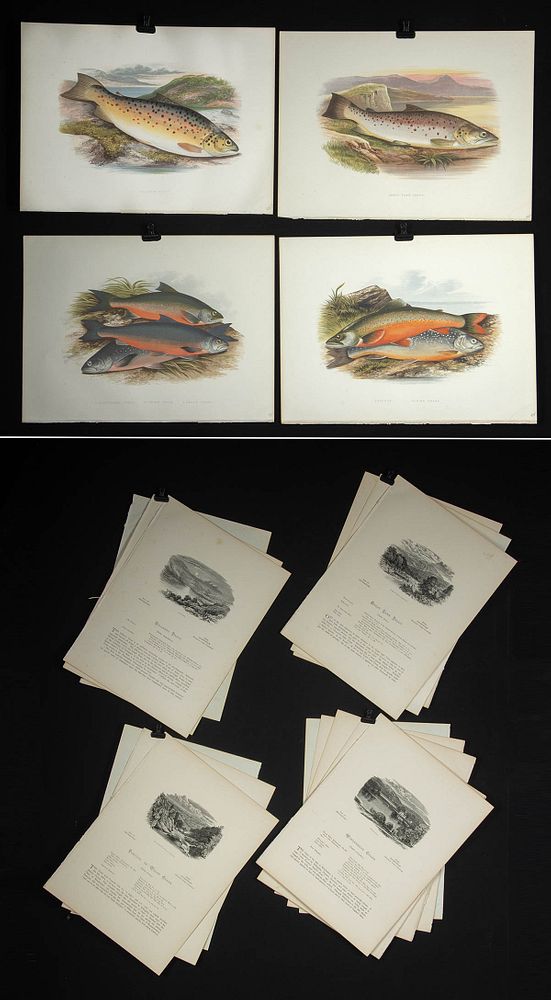 Appraisal: Houghton Chromolithographs - Freshwater Fish Artist Alexander Francis Lydon British