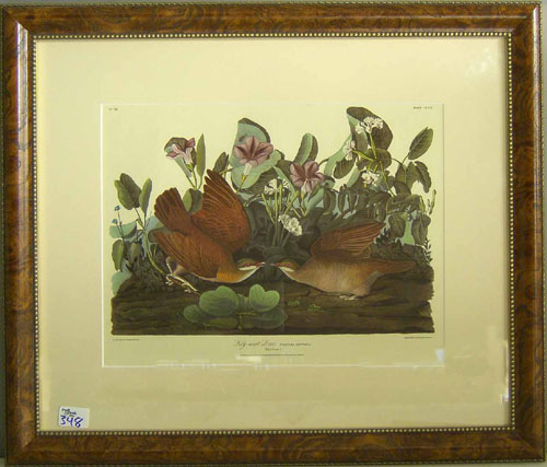 Appraisal: Contemporary Audubon print x together with a contemporary Currier Ives