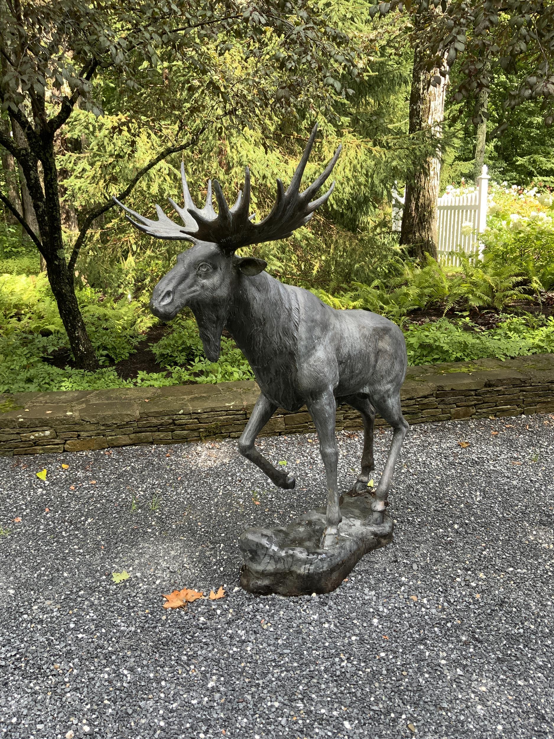 Appraisal: BRONZE MOOSE GARDEN SCULPTURE A well cast male adult bronze