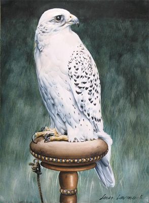 Appraisal: Sandra Lawrence th Century White Gyr falcon Signed and dated