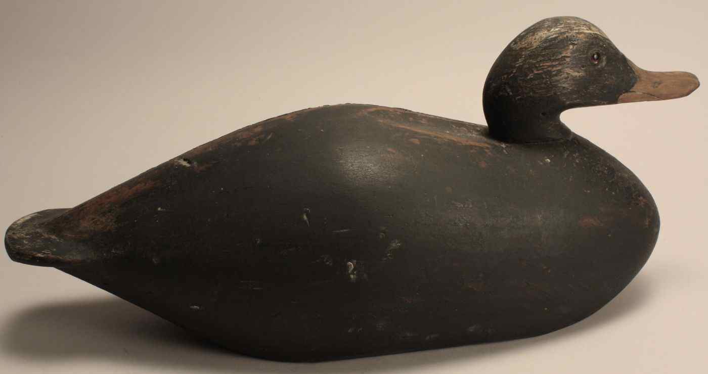 Appraisal: OVERSIZE BLACK DUCK DECOYAmerican th CenturyBy the Mason Decoy Factory