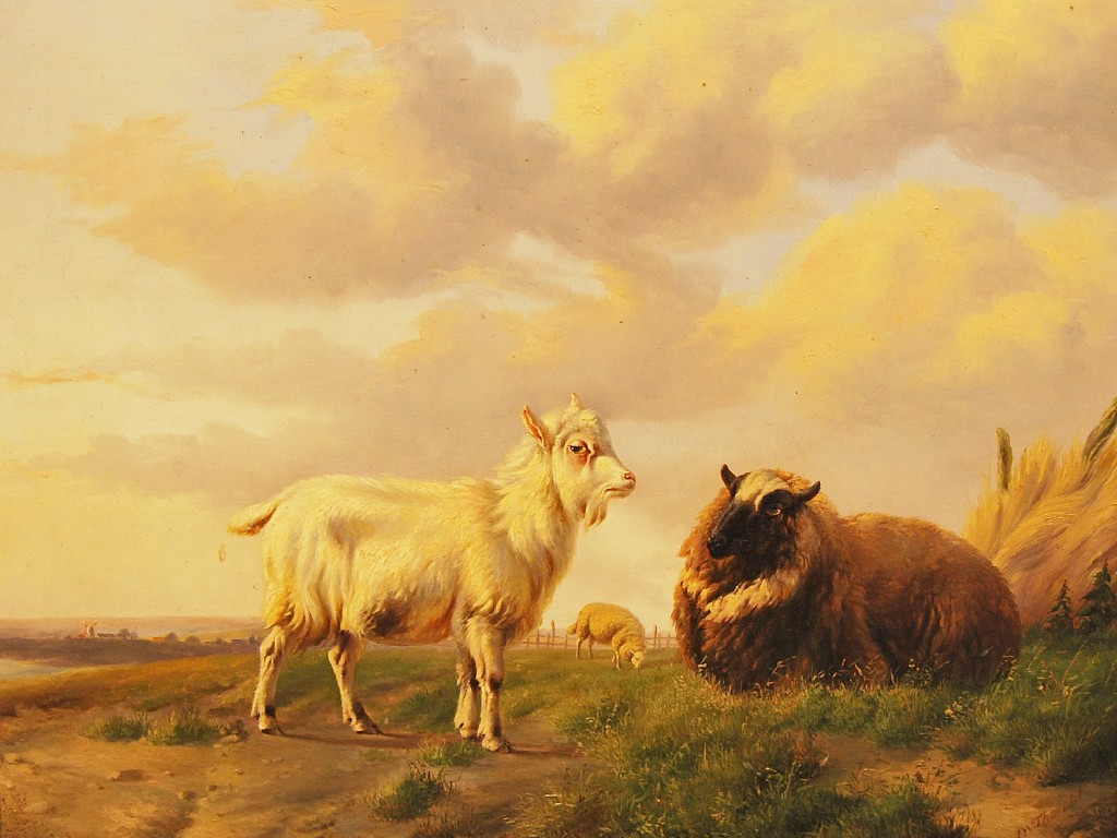 Appraisal: A W Thorold - Study of a goat and sheep