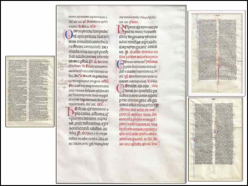 Appraisal: GROUP OF FOUR ILLUMINATED MANUSCRIPTS Largest Frame '' x ''