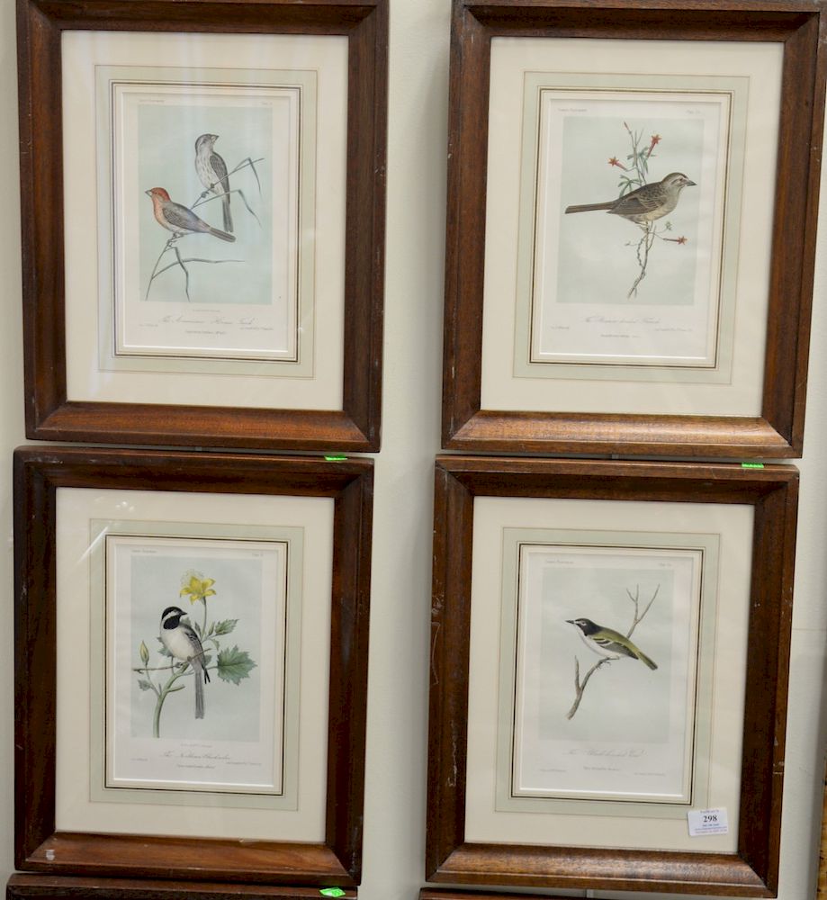 Appraisal: Nine Cassin's Illustrated bird prints to include The American Lanier