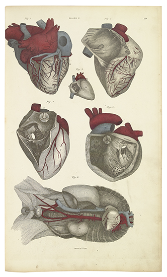 Appraisal: LIZARS JOHN A System of Anatomical Plates atlas volume only