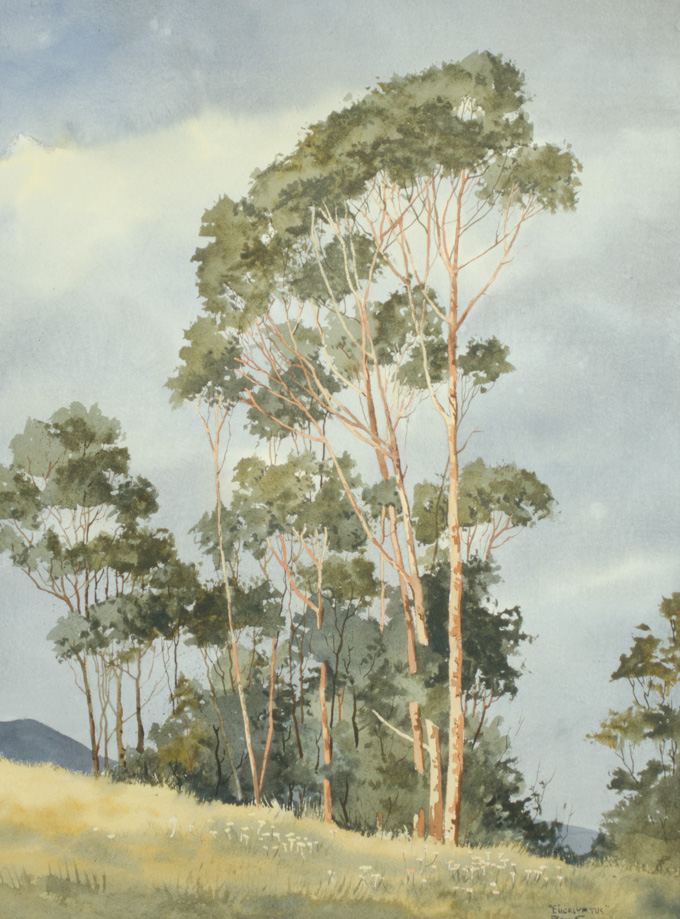 Appraisal: RAY SWANSON WATERCOLOR Arizona South Dakota - Eucalyptus Image measures