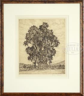 Appraisal: LUIGI LUCIONI American Italian - COLLECTION OF FOUR ETCHINGS Housed