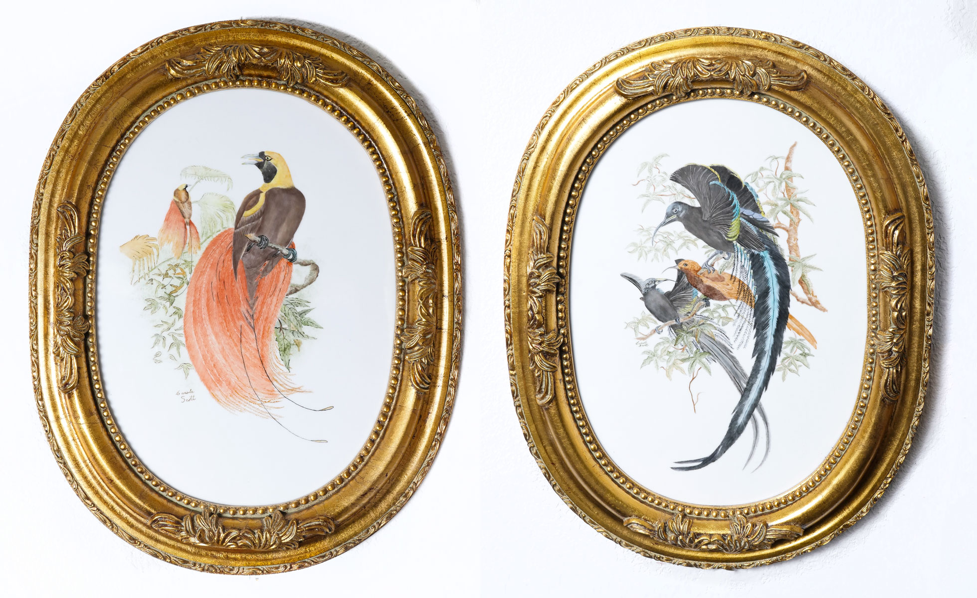 Appraisal: PAIR OF PAINTED PORCELAIN CAROLE SCOTT BIRD MOTIF FRAMED PLAQUES