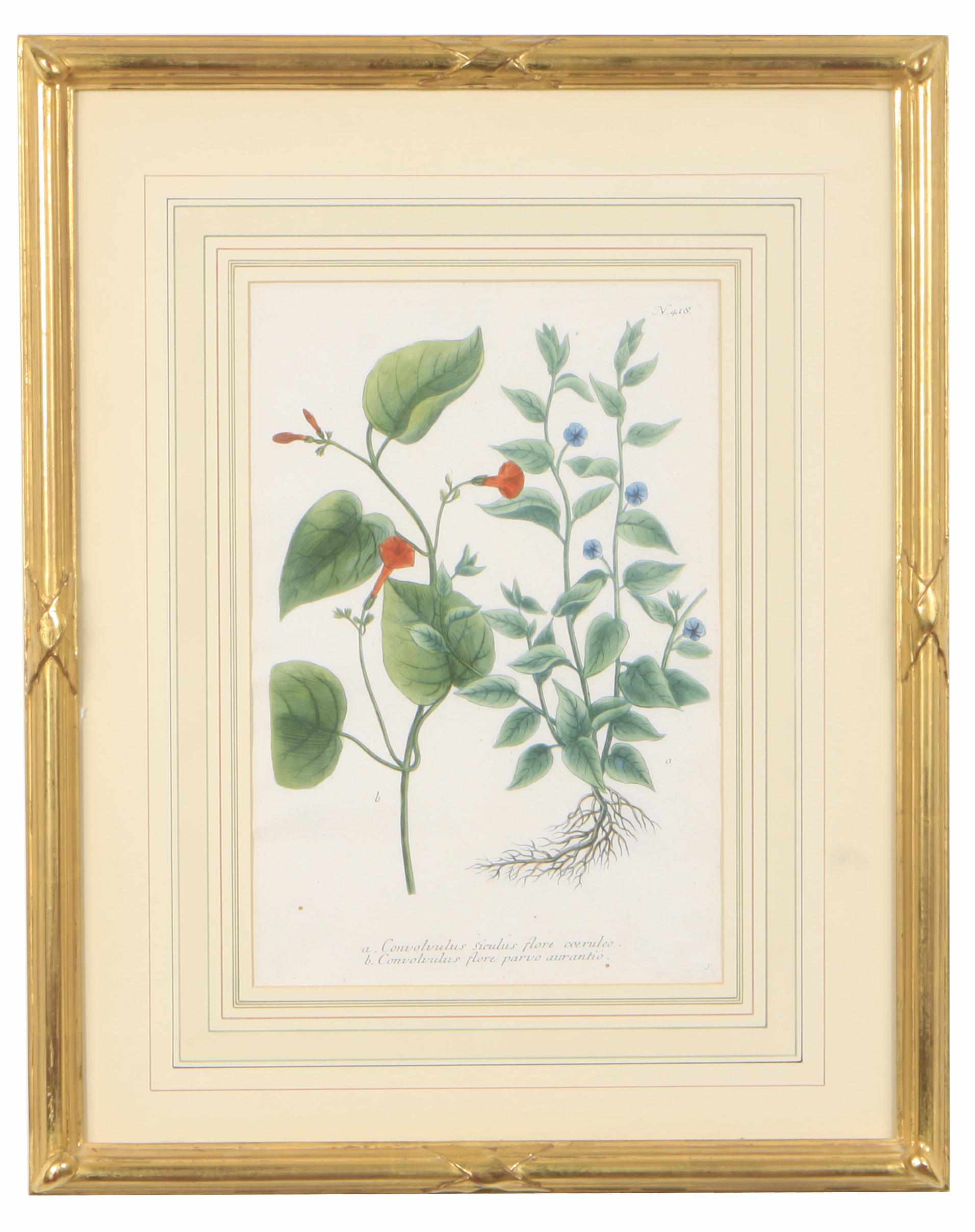 Appraisal: Property of various owners A group of four colored botanical