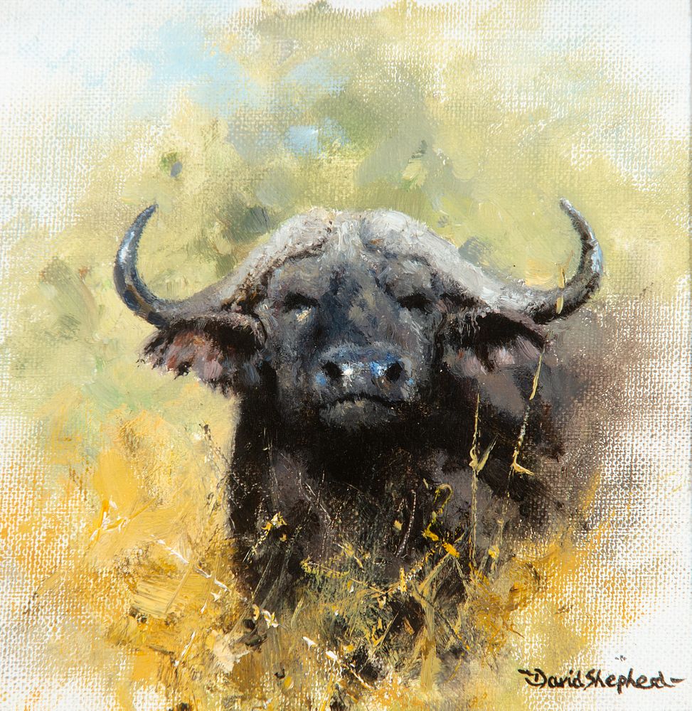 Appraisal: David Shepherd - Cape Buffalo in Bush Lion in Grass