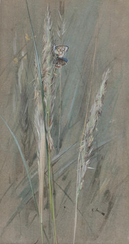 Appraisal: Edwin John Alexander RSA RSW RWS British - Butterflies on