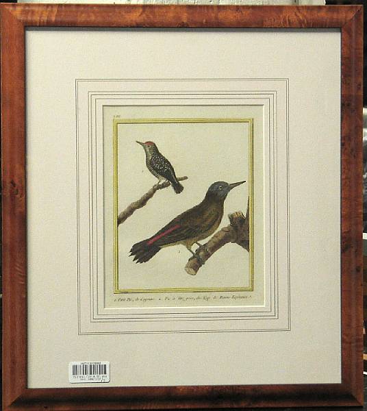 Appraisal: A set of seven French avian prints framed dimensions x