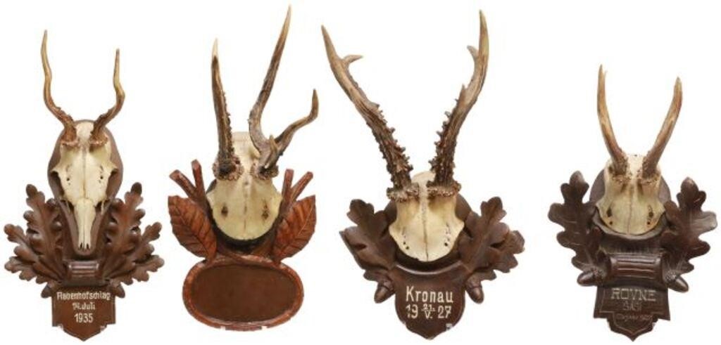 Appraisal: lot of German Black Forest deer antler trophy mounts early