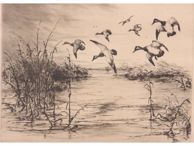 Appraisal: Roland H Clark CT - Etching A Currituck Marsh pencil