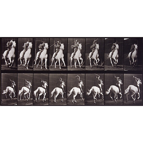 Appraisal: Eadweard Muybridge British American - Animal Locomotion plate nos ten