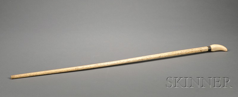 Appraisal: Whalebone Walking Stick with Tooth Finial probably late th century