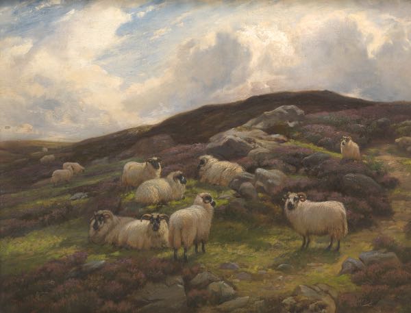 Appraisal: WRIGHT BARKER BRITISH - x canvas Hill landscape with sheep