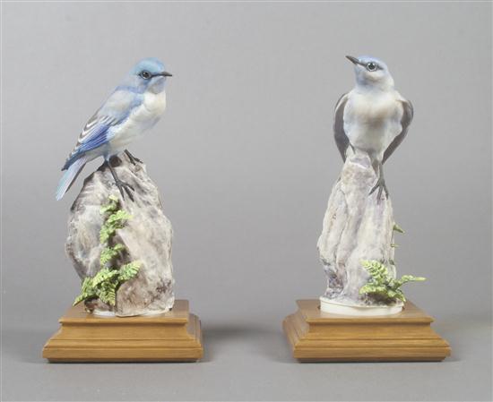 Appraisal: Pair of Royal Worcester Dorothy Doughty Birds Mountain Bluebird seated