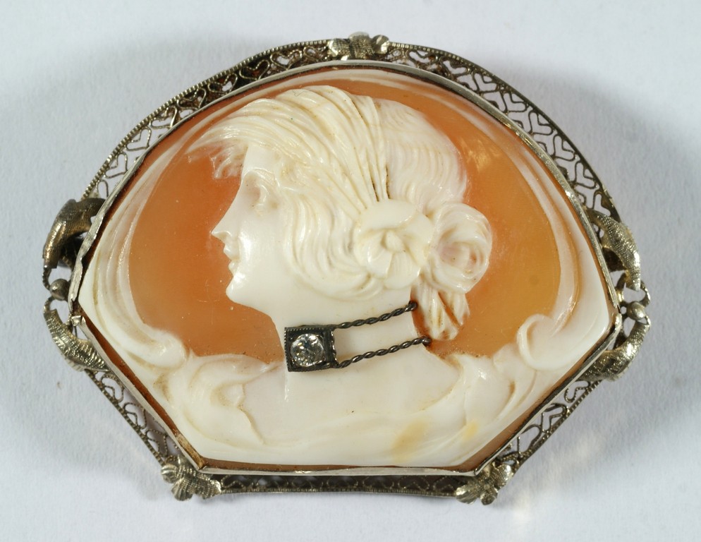 Appraisal: K WG carved shell cameo pin unusual shape womans profile